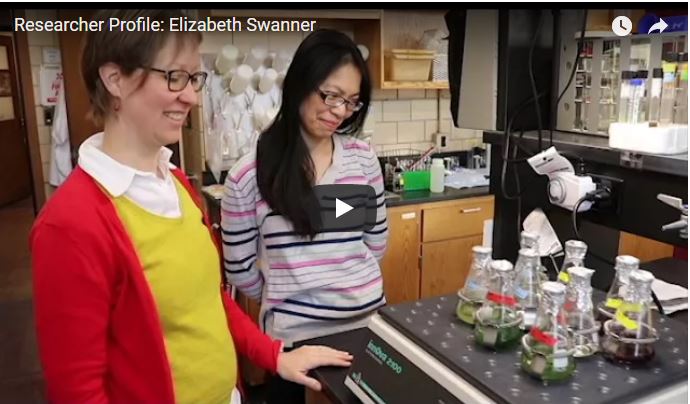 Researcher Profile: Elizabeth Swanner