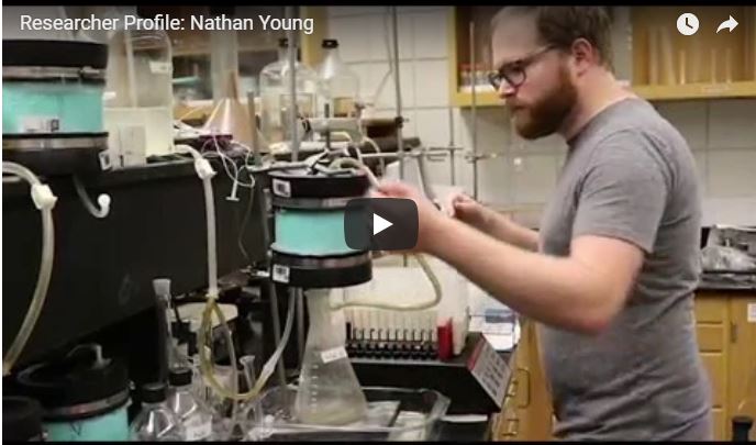 Researcher Profile: Nathan Young