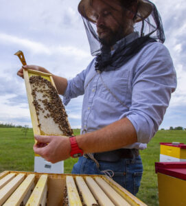 Randall Cass with honeybees